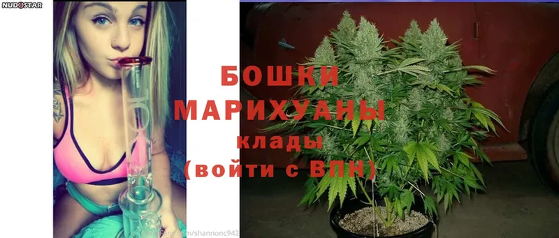 Марихуана SATIVA & INDICA  Мурино 